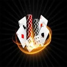 Marina77 login mobile app interface showing sportsbook and live dealer menu